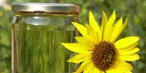 Etanol anhidro como biocombustible